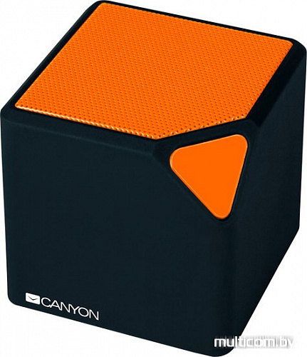 Беспроводная колонка Canyon CNE-CBTSP2BO