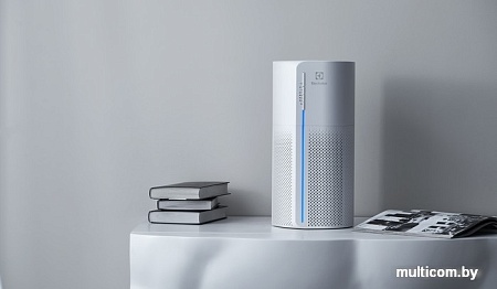 Очиститель воздуха Electrolux EAP-1016