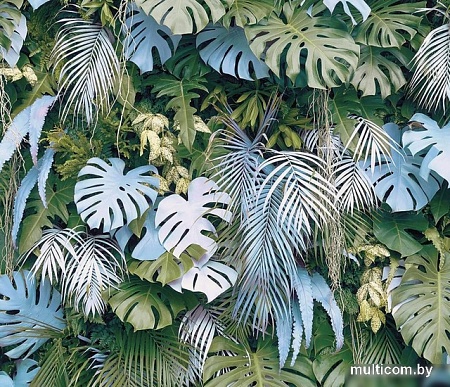 Фотообои Citydecor Цветы и Растения 145 300x260