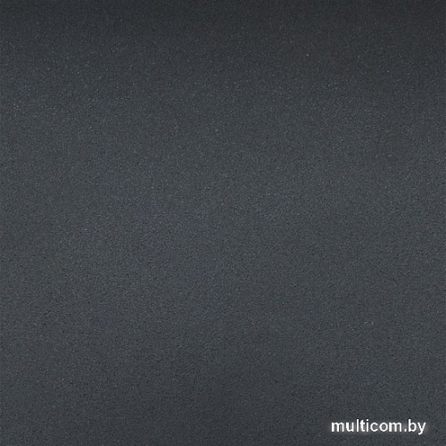 Кухонная мойка Wisent 420-26W (с сифоном GER013)