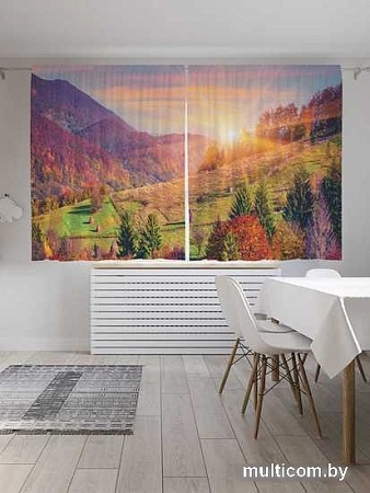 Комплект штор JoyArty Вперед за солнцем Oxford DeLux 1.45x1.8 м (2 шт)