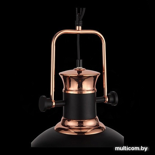 Подвесная люстра ST Luce Lanterio SL404.403.01