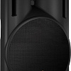 Концертная акустика BEHRINGER EUROLIVE B215D
