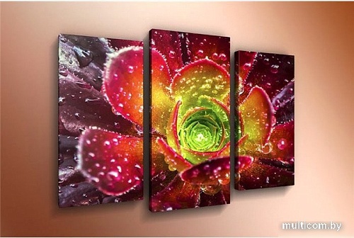 Модульная картина Arthata m-000494 120x80