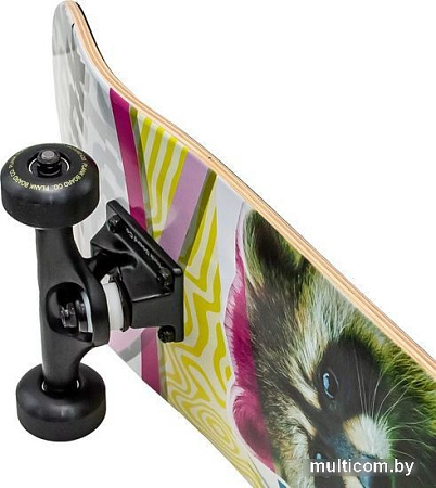 Скейтборд Plank Raccoon P22-SKATE-PACCON