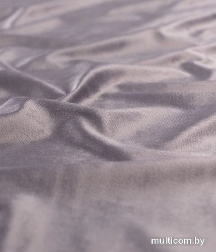 Штора Legrand Велюр 1.5x2.8 м 58118342 (туман)