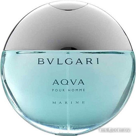 Bvlgari Aqva Pour Homme Marine EdT (100 мл)