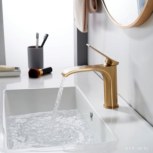 Смеситель Shevanik S4101G