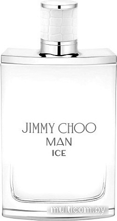 Туалетная вода Jimmy Choo Man Ice EdT (100 мл)