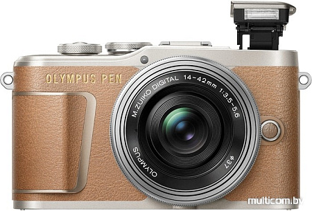 Фотоаппарат Olympus PEN E-PL9 Kit 14-42mm EZ (коричневый)