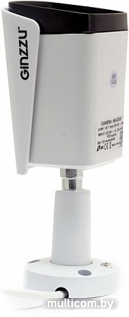 IP-камера Ginzzu HIB-2301S