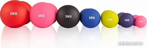 Гантель VictoryFit VF-DN050 5 кг