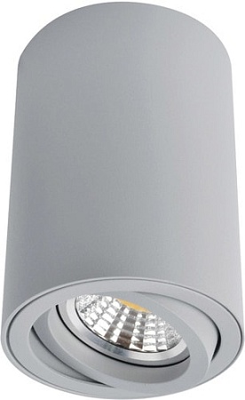 Точечный светильник Arte Lamp Sentry A1560PL-1GY