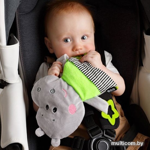 Прорезыватель Мякиши Бегемотик Димочка 725