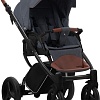 Универсальная коляска BEBETTO Luca (2 в 1, 06, черная рама)