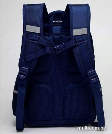 Школьный рюкзак Sun Eight SE-2889 (розовый)