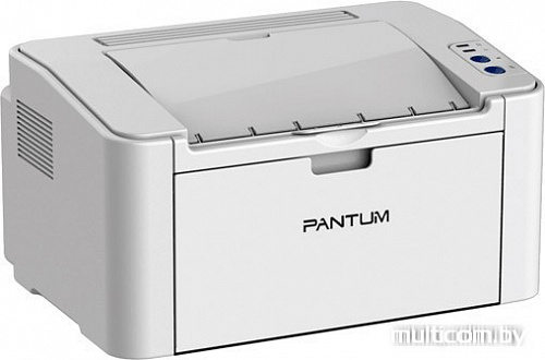 Принтер Pantum P2200