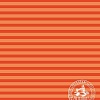 Общая тетрадь Hatber Полосочки 96Т5B2 (96 л)