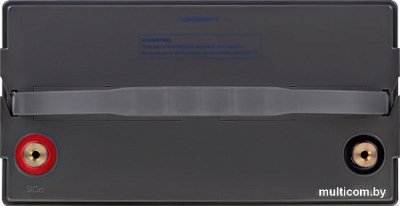 Аккумулятор для ИБП IPPON IP12-100 (12В/100 А·ч)