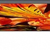 Телевизор Sony KD-85XF8596