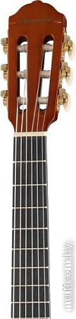 Акустическая гитара Naranda CG220-1/2