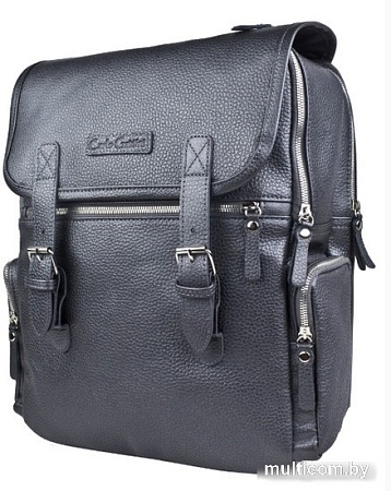 Городской рюкзак Carlo Gattini Premium Santerno 3007-55 (железно-серый)