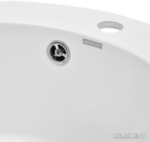 Кухонная мойка Wisent 510-28WR (с сифоном GER013)