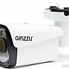 IP-камера Ginzzu HIB-5303A