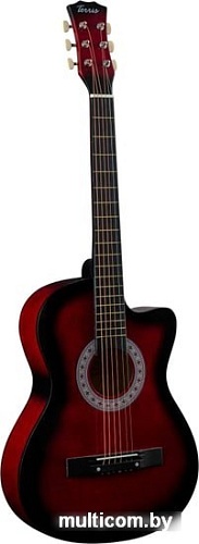 Акустическая гитара Terris TF-3802C RD