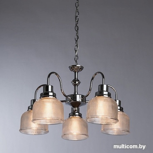 Подвесная люстра Arte Lamp Ricardo A9186LM-5CC