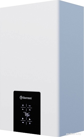 Отопительный котел Thermex Blaze FH 40