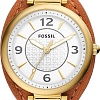 Наручные часы Fossil Carlie ES5215