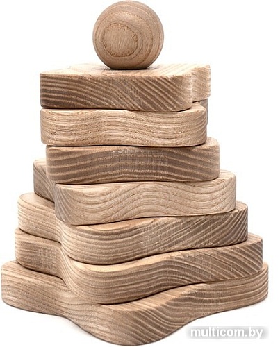 Пирамидка Polle Toys Пирамидка с сечением цветок TO0414AS00 (ясень)