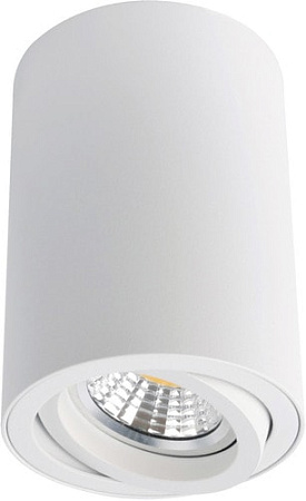 Точечный светильник Arte Lamp Sentry A1560PL-1WH