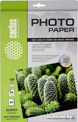 Самоклеящаяся бумага CACTUS Самоклеящаяся глянцевая A4 130 г/кв.м. 20 листов (CS-GSA413020)