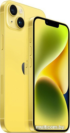 Смартфон Apple iPhone 14 Plus Dual SIM 256GB (желтый)