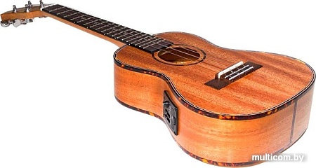 Электроукулеле Tom TUT-200E