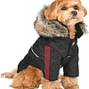 Куртка для животных Puppia Brock PAUD-JM1851-BK-L (черный)