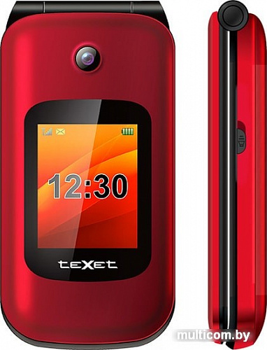Мобильный телефон TeXet TM-B202 (красный)