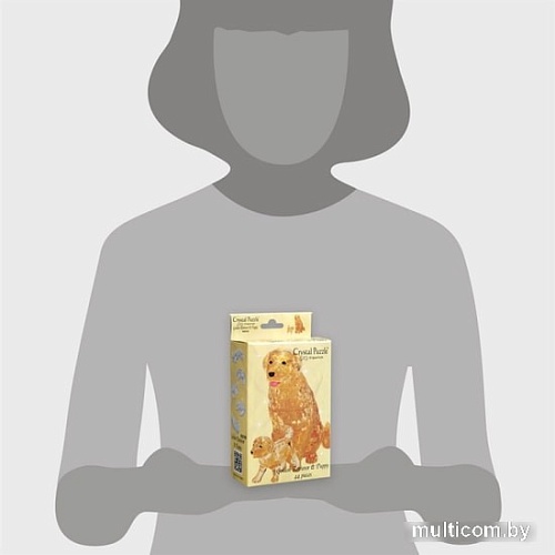 3Д-пазл Crystal Puzzle Два лабрадора 90218