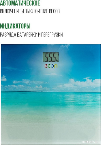 Напольные весы Econ ECO-BS018