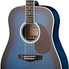 Акустическая гитара Naranda DG220BLS
