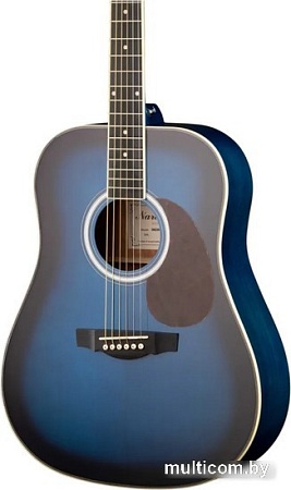 Акустическая гитара Naranda DG220BLS
