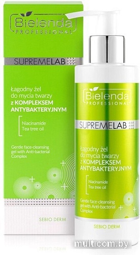Bielenda Гель для умывания Supremelab Sebio Derm Нежный с антибактериальным комплексом (200 г)