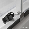 Душевая стенка Roltechnik Exclusive Line ECDBN/1000 (черный) [563-1000000-05-02]