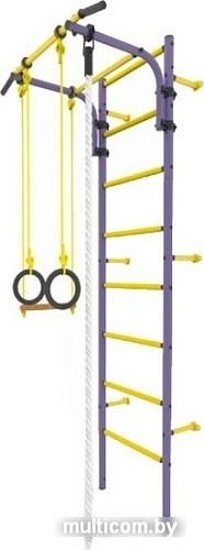 Детский спортивный комплекс Rokids Атлет-1 (фиолетовый)