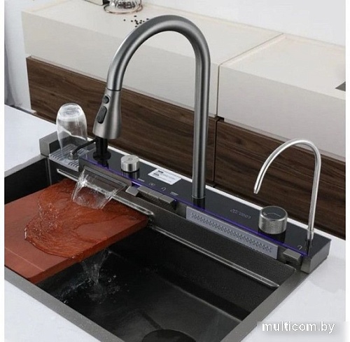 Кухонная мойка Wisent WG-37545BDF