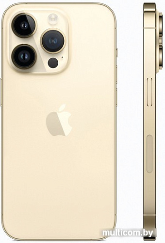 Смартфон Apple iPhone 14 Pro 512GB (золотистый)