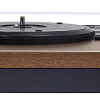 Виниловый проигрыватель Alive Audio Harmony Wood
