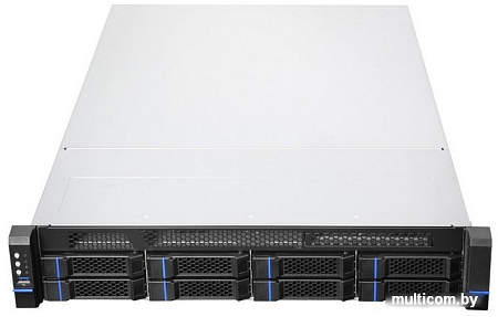 Корпус Chenbro RM23808H03*14313